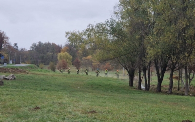 10 milioane de lei: Primăria a scos la licitație întreținerea parcurilor și spațiilor verzi din Sibiu. Administrația calculează peste 200 de hectare de parcuri și zone verzi