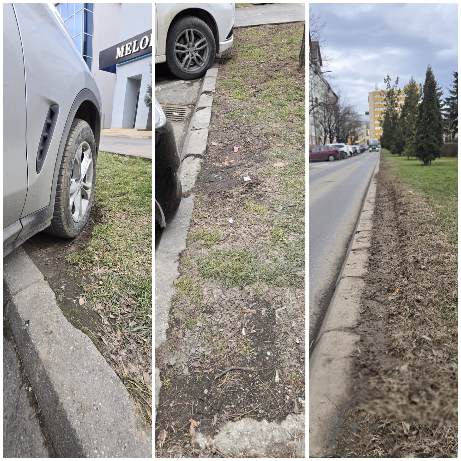 Hunyadi, consilierul local care a propus reducerea spațiului verde de pe Școala de Înot, pentru mașini, revine cu fotografii: „Să găsim soluții: reducem din trotuar sau din parcări”