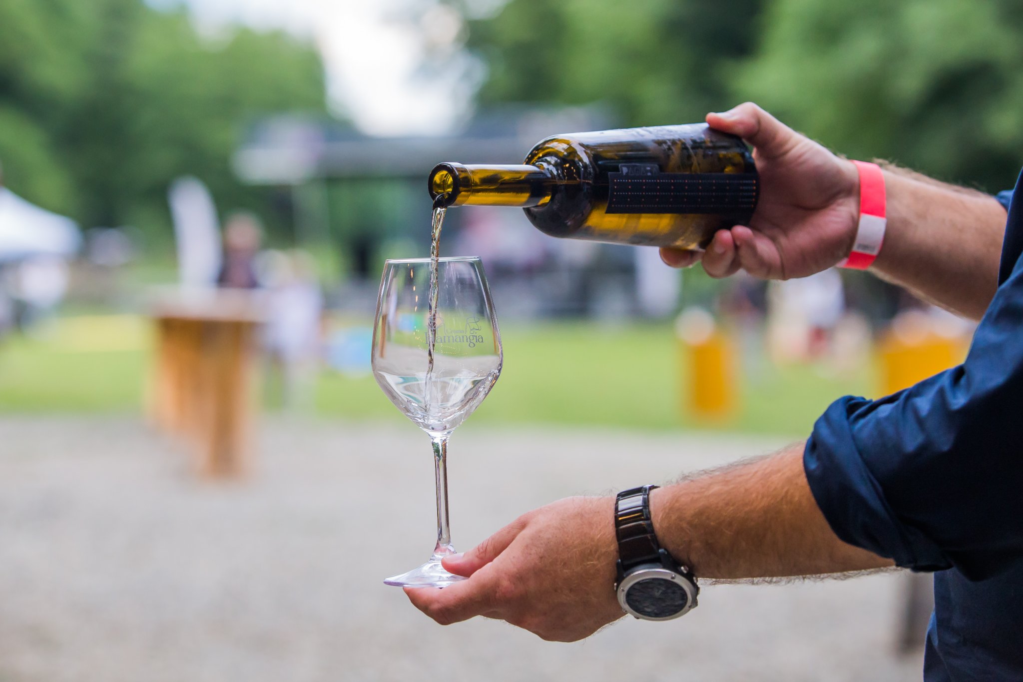 Pahar de vin la Muzeul Astra