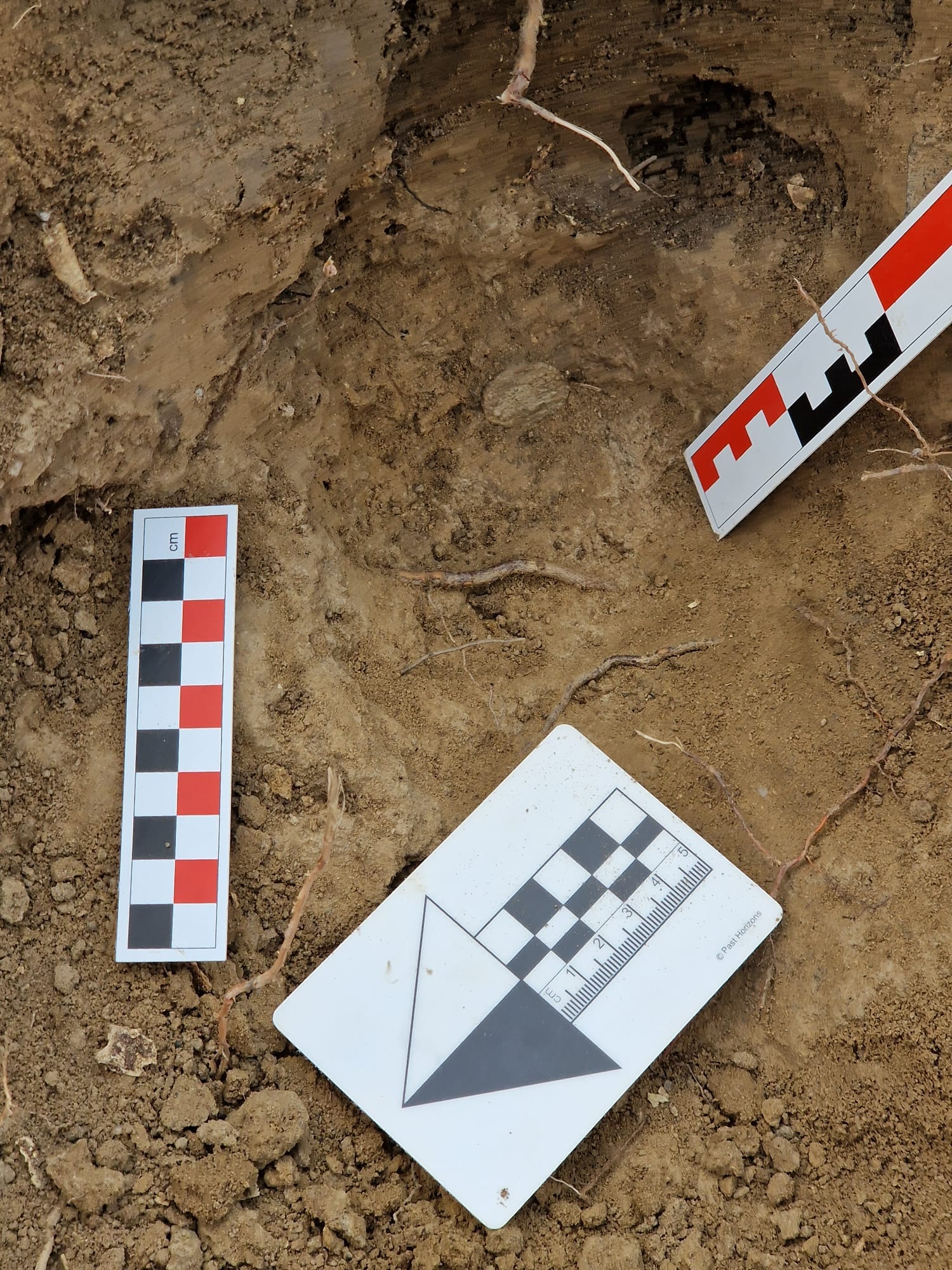 descoperire arheologica