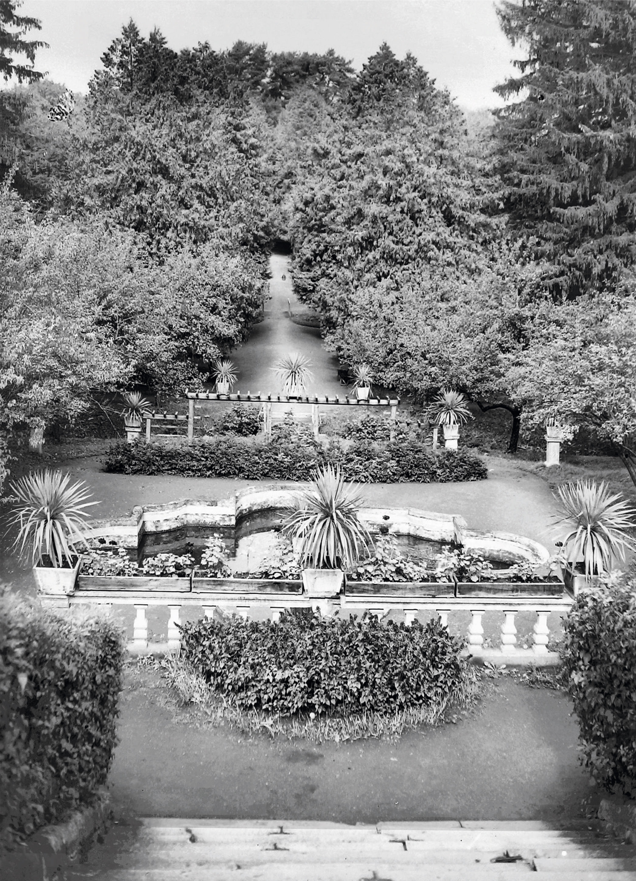 palatul brukenthal avrig ananas