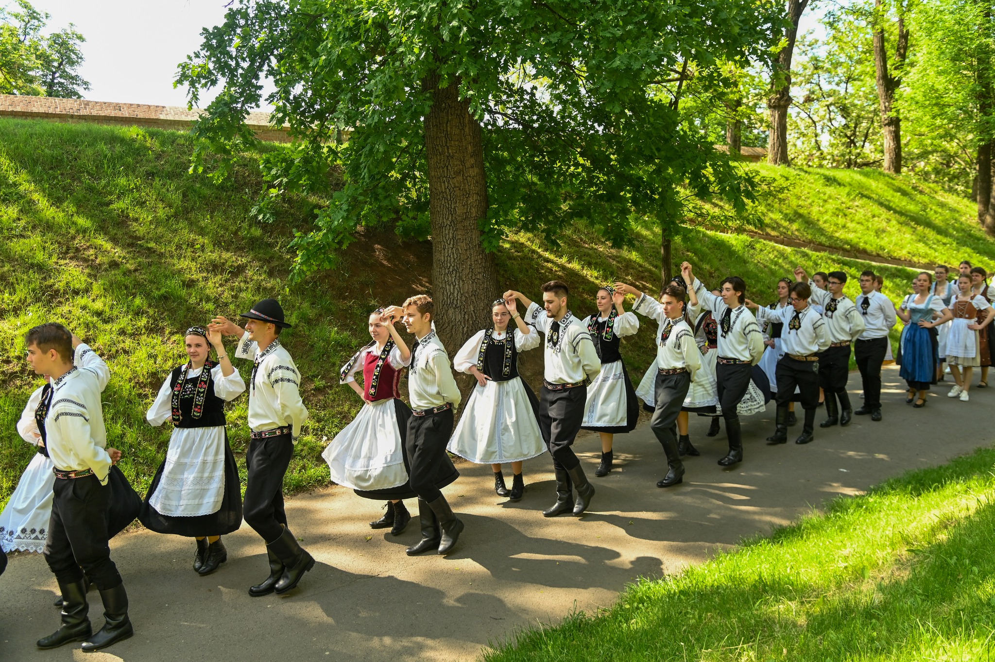 maifest sibiu