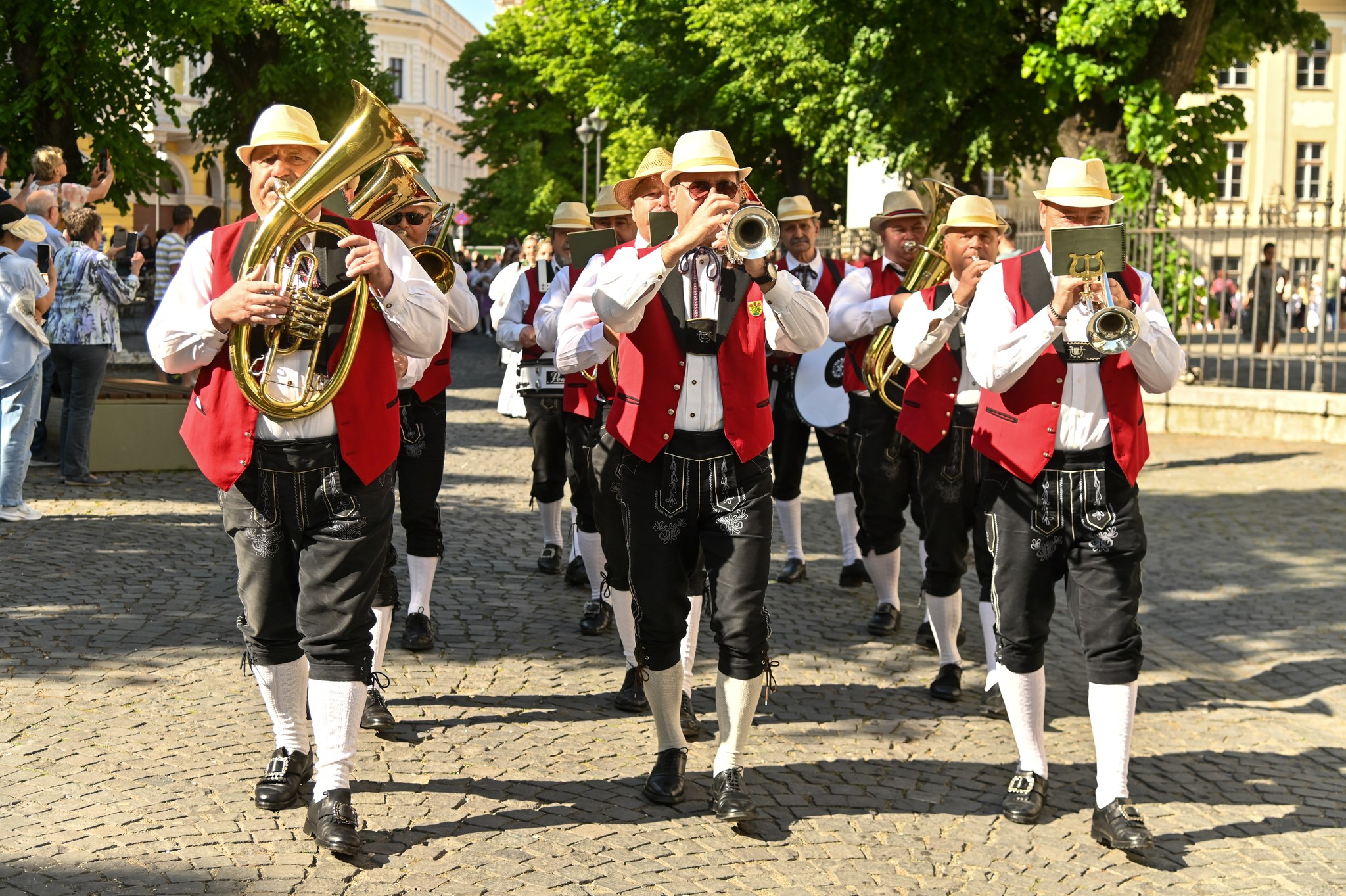 maifest