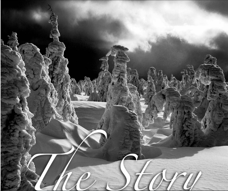 expozitie-the-story-dkis