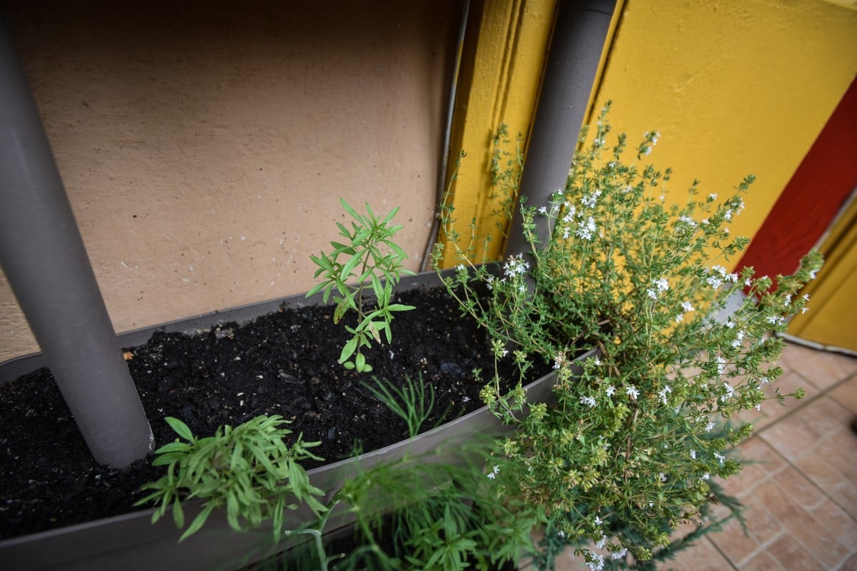 boila balcon (11)