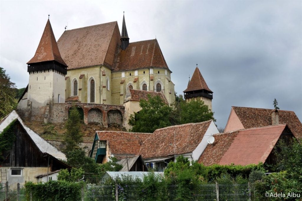 biertan-zdvi