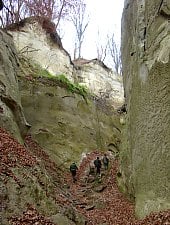 canion-mihaileni20-au9r