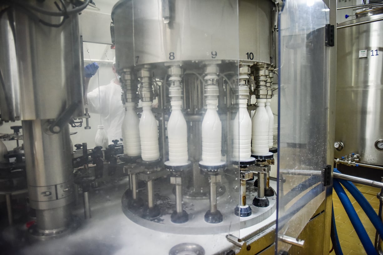 Am fost în fabrică să văd cum se produce iaurtul la marginea Sibiului