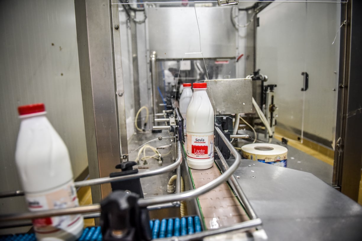 Am fost în fabrică să văd cum se produce iaurtul la marginea Sibiului