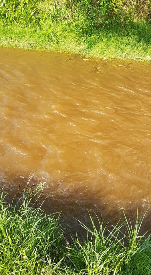 FOTO – Zeci de sibieni reclamă o nouă poluare pe râul Seviș. Autoritățile îi liniștesc