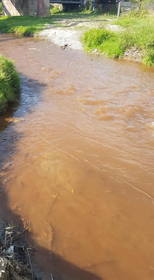 FOTO – Zeci de sibieni reclamă o nouă poluare pe râul Seviș. Autoritățile îi liniștesc