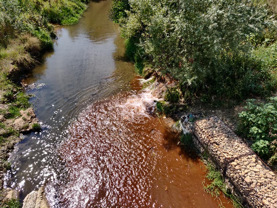 FOTO – Zeci de sibieni reclamă o nouă poluare pe râul Seviș. Autoritățile îi liniștesc