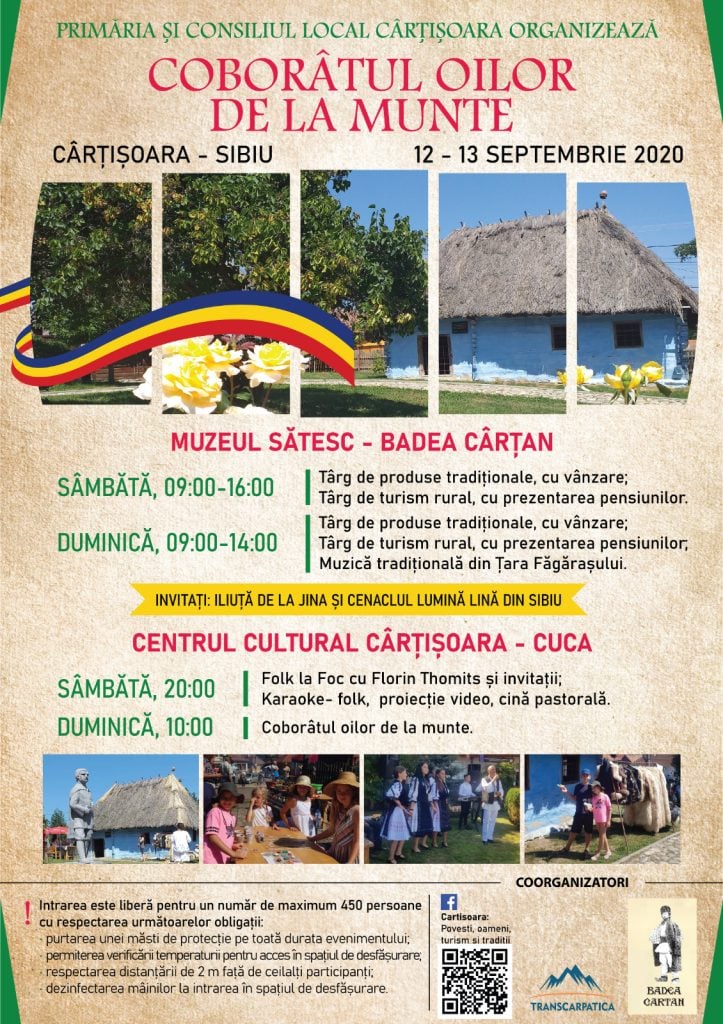 cartisoaratarg1-wig6