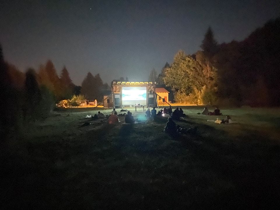 Cinema în pădure creat de proprietarii a două pensiuni din Porumbacu de Sus