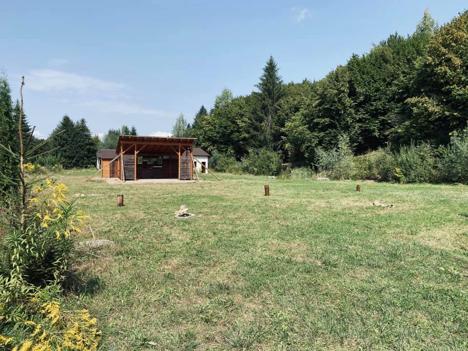 Cinema în pădure creat de proprietarii a două pensiuni din Porumbacu de Sus