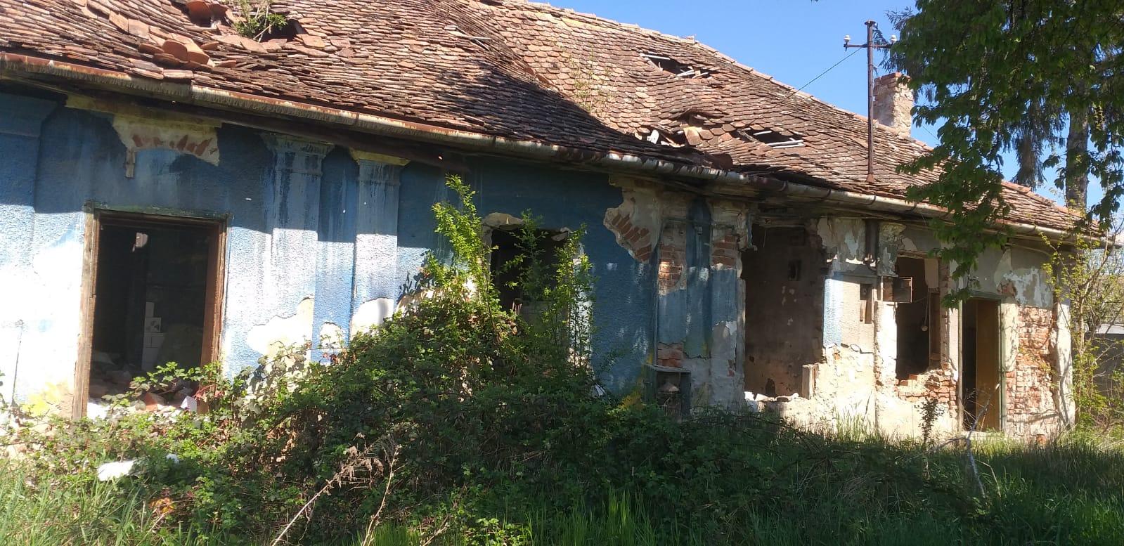 „Casa albastră”, acasă pentru tinerii nimănui: Fără sprijin, copiii care ies din sistemul de protecție ajung direct în stradă
