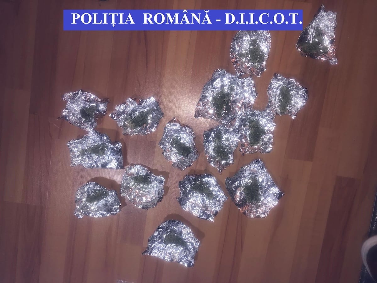 Percheziții de amploare în Sibiu, Cluj, Alba și Brăila, într-un dosar de trafic de droguri