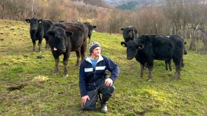 După ce a fost fermier în Columbia, actor în filme de acțiune și muncitor în Spania, un sibian s-a întors acasă. „Am devenit mai bogat spiritual”