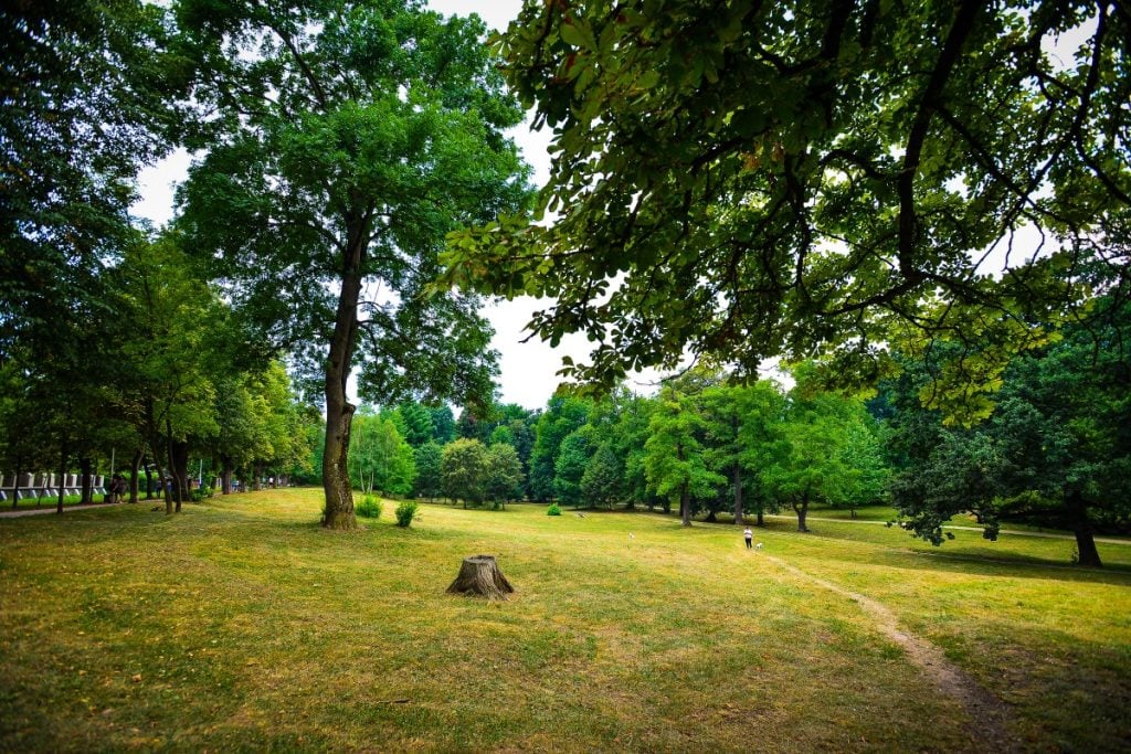 parc-sub-arini-1-ap52