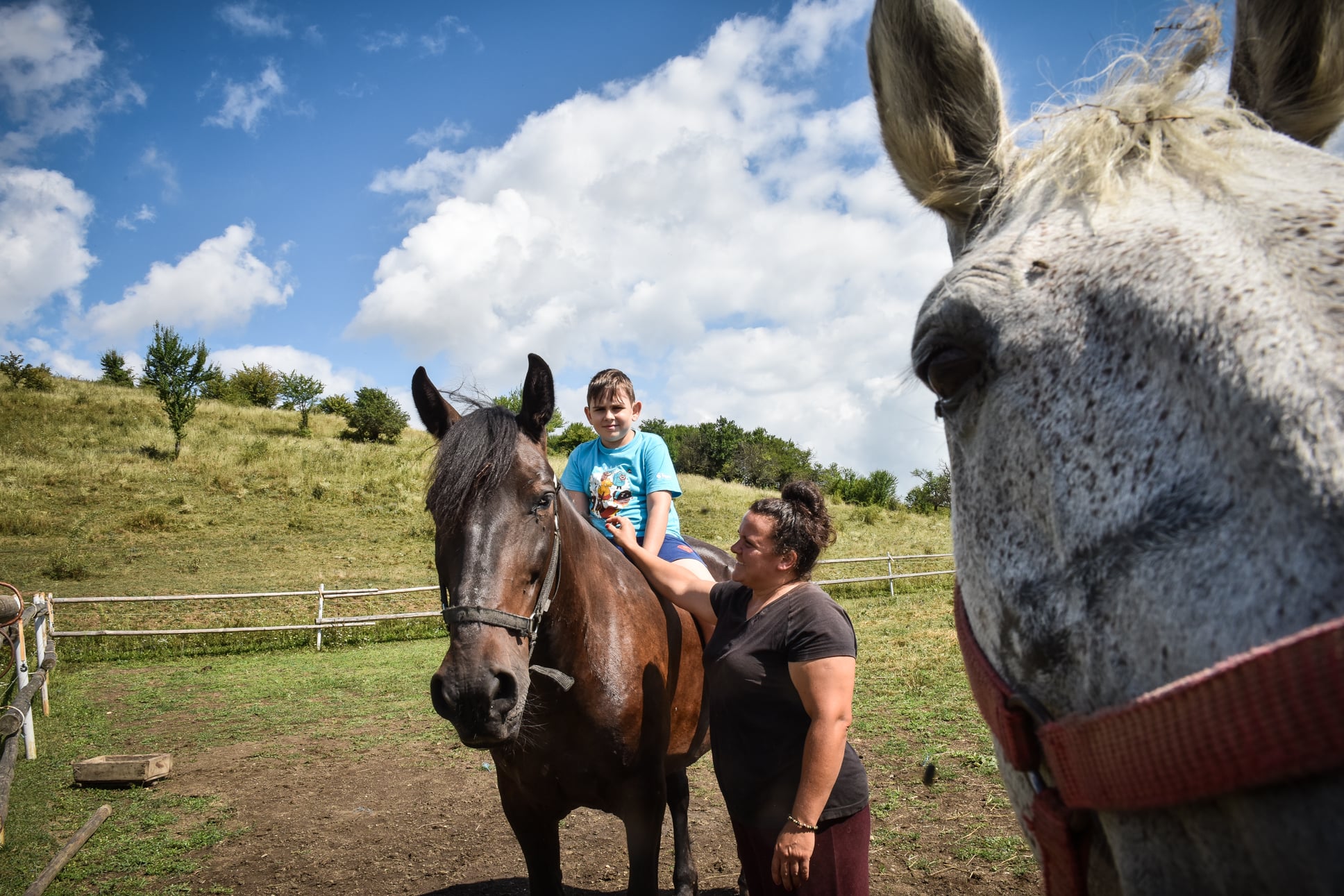 Visul unei mame, împlinit cu ajutorul comunității: o fermă de cai unde sibienii se pot bucura de natură și de animale