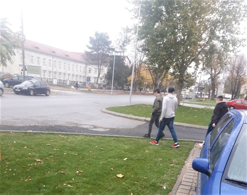 vandalizare-arbori-iarba-terezian-hipodrom-4-trdf