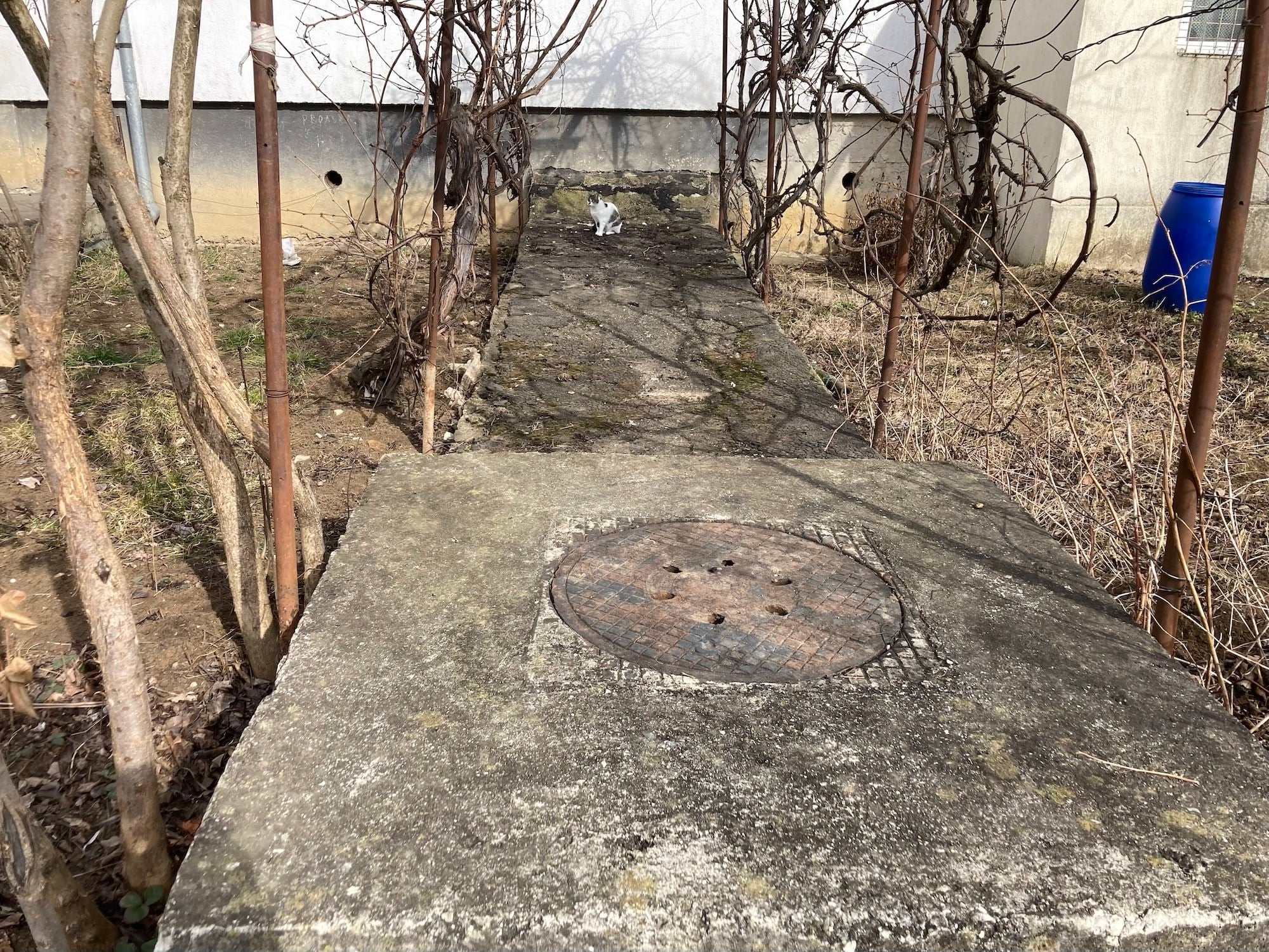 FOTO VIDEO Am văzut unde ne refugiem în caz de război – pivnițe vechi de peste 30 de ani și ascunzători de lux în clădirile noi