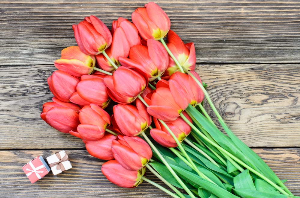 Tulips on Wooden Table with Little Gift Boxes