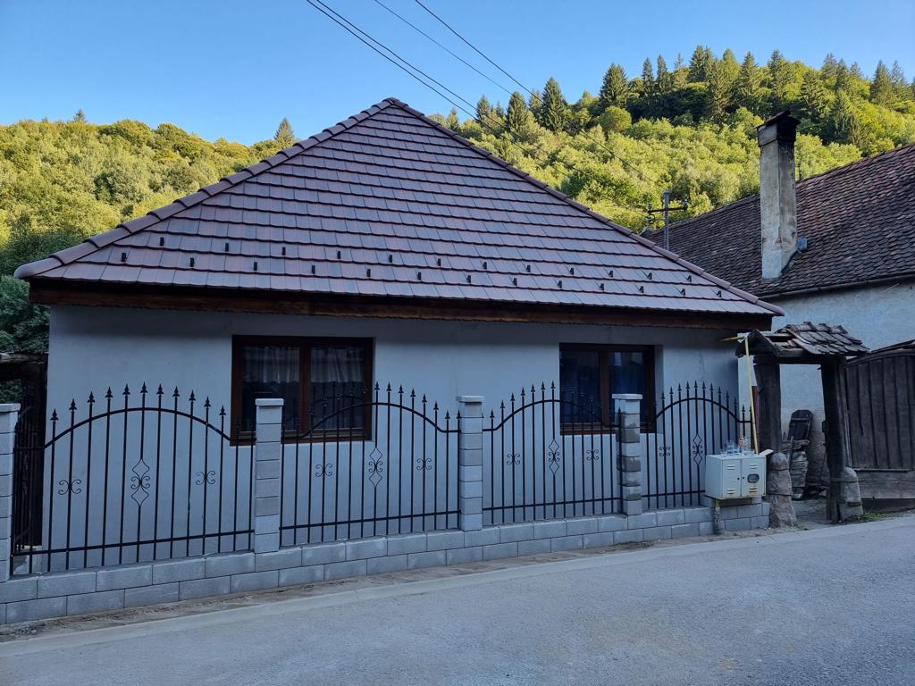 De ce se mută oamenii în Sibiel. Povestea timișorenilor care vor  să respire aer curat și să bea apă de izvor