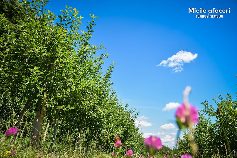 O familie din Sibiu produce sucuri 100% naturale, cu fructe culese din propria livadă. „Câteodată, oamenii nu cred că nu punem zahăr”