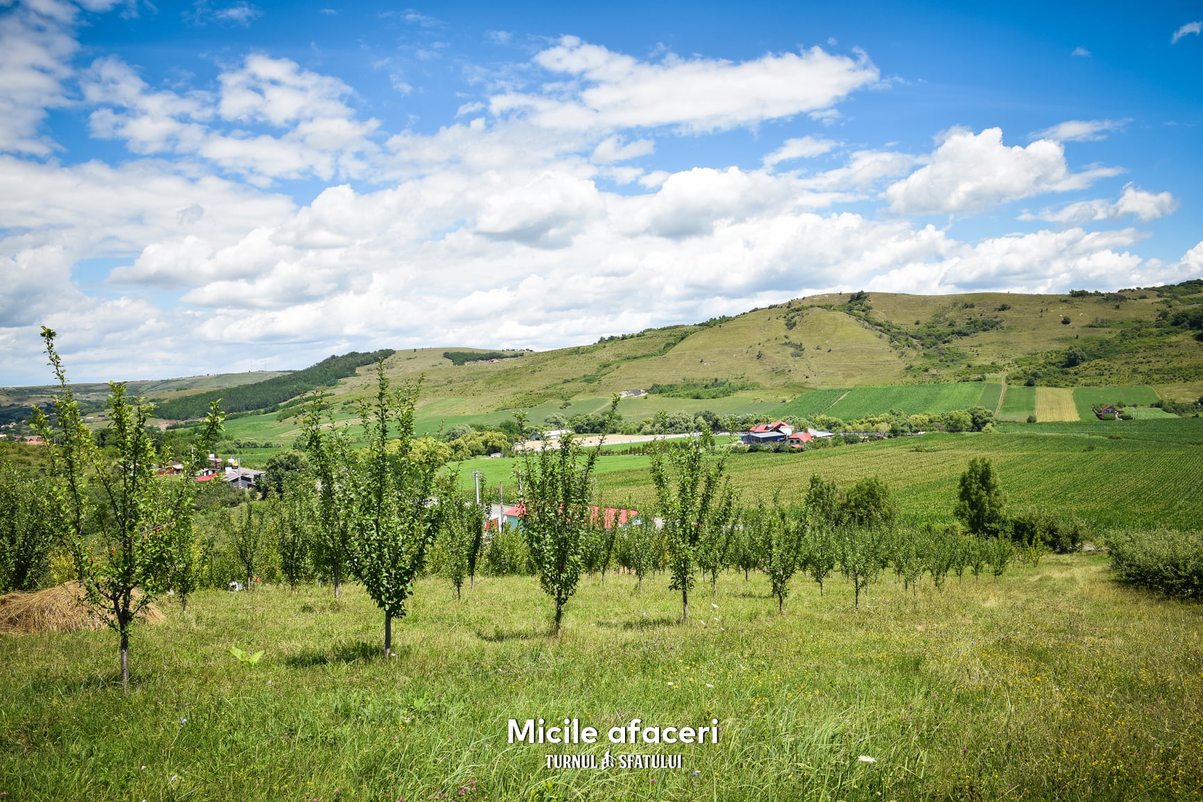 O familie din Sibiu produce sucuri 100% naturale, cu fructe culese din propria livadă. „Câteodată, oamenii nu cred că nu punem zahăr”