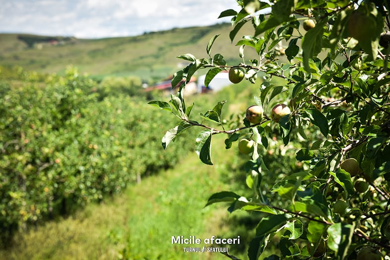 O familie din Sibiu produce sucuri 100% naturale, cu fructe culese din propria livadă. „Câteodată, oamenii nu cred că nu punem zahăr”
