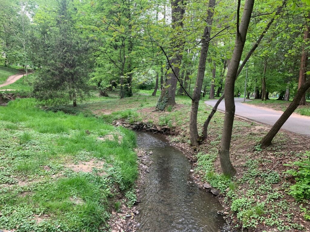 foto arhiva turnulsfatului.ro