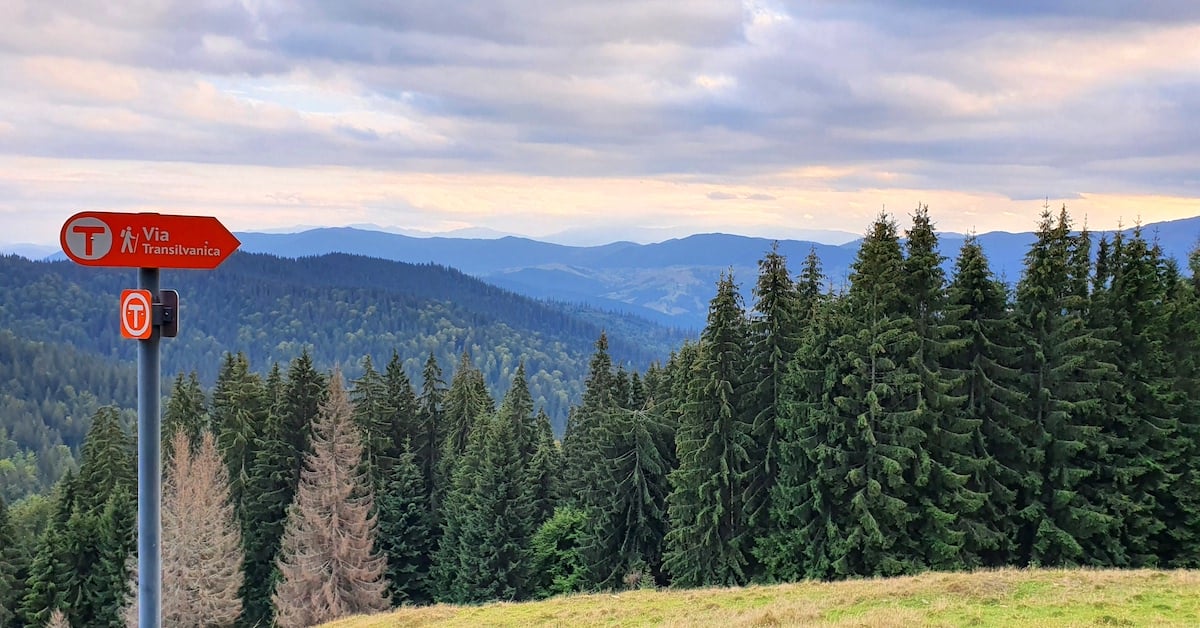 Am plecat pe toată Via Transilvanica. Ziua 1, ”`ai mai grea”