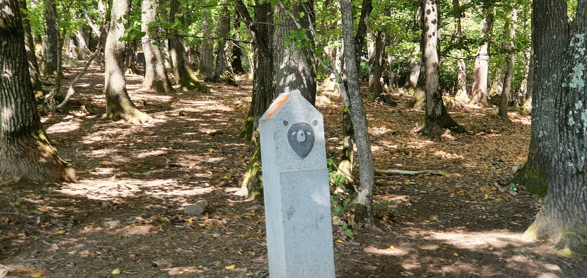 Pe toată Via Transilvanica, ziua 7. Atunci când oamenii și locurile te umplu de cadouri