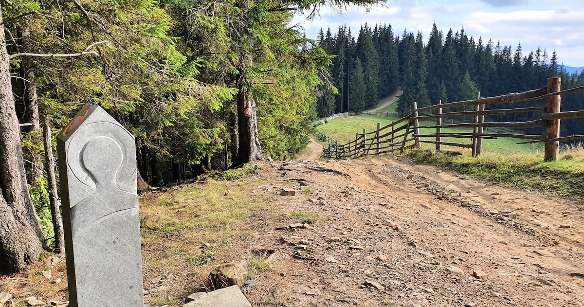 Am plecat pe toată Via Transilvanica. Ziua 1, ”`ai mai grea”