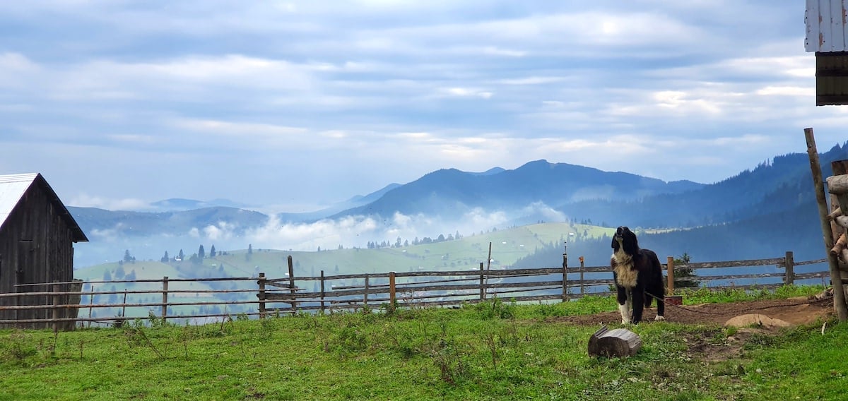 Pe toată Via Transilvanica. Ziua 2: spectaculos pare puțin spus