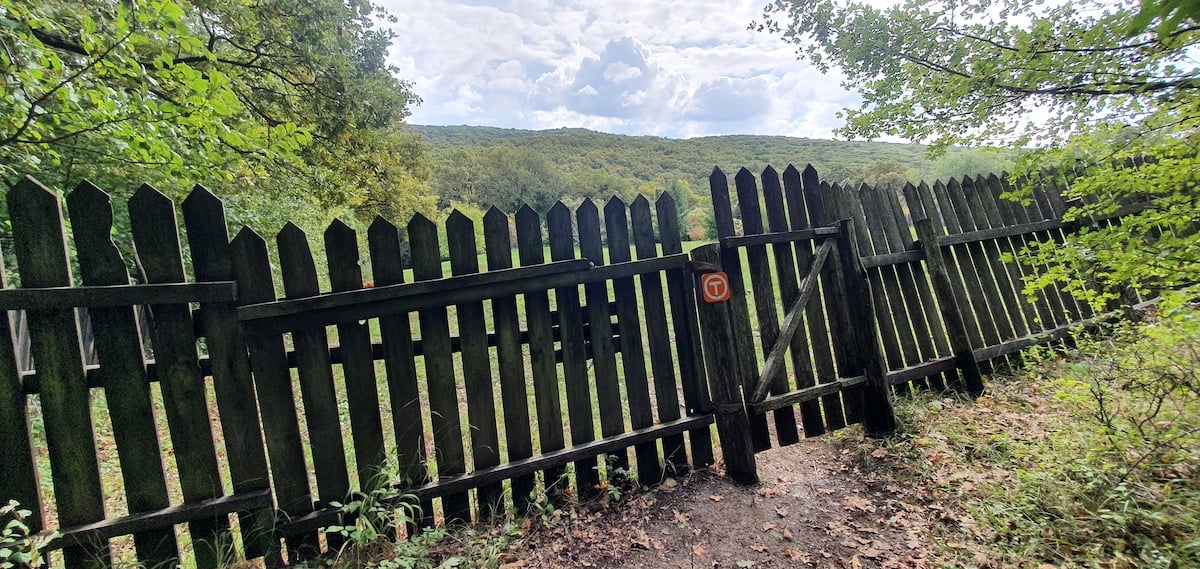 Pe toată Via Transilvanica. După două săptămâni, drumul care unește ne-a ținut o lecție de istorie