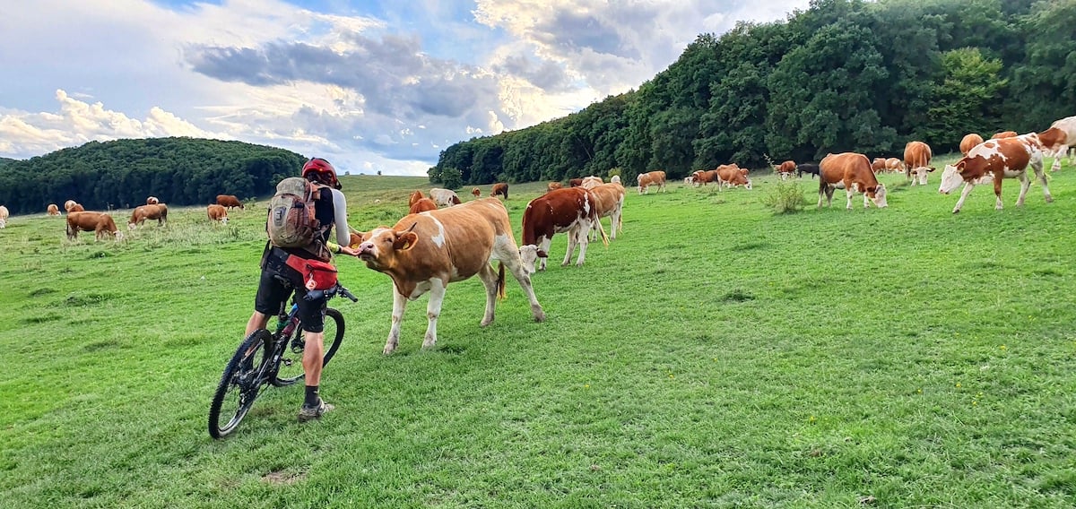 Pe toată Via Transilvanica. Ziua 6, în care aventura era să se încheie brusc, de două ori. Revanșa - fabuloasă