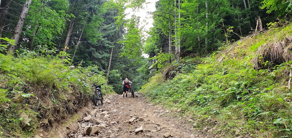 Pe toată Via Transilvanica. Ziua 2: spectaculos pare puțin spus