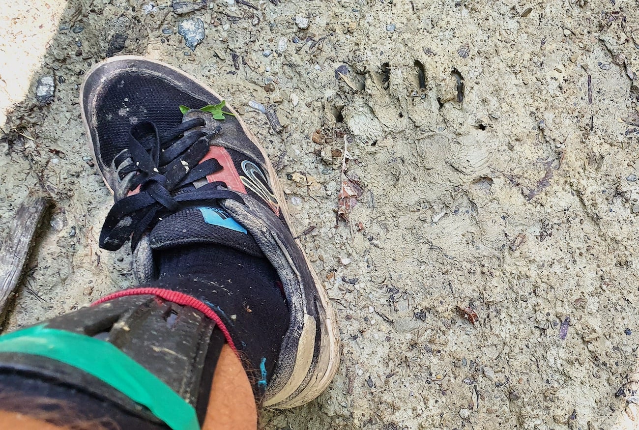 Pe toată Via Transilvanica, ziua 7. Atunci când oamenii și locurile te umplu de cadouri