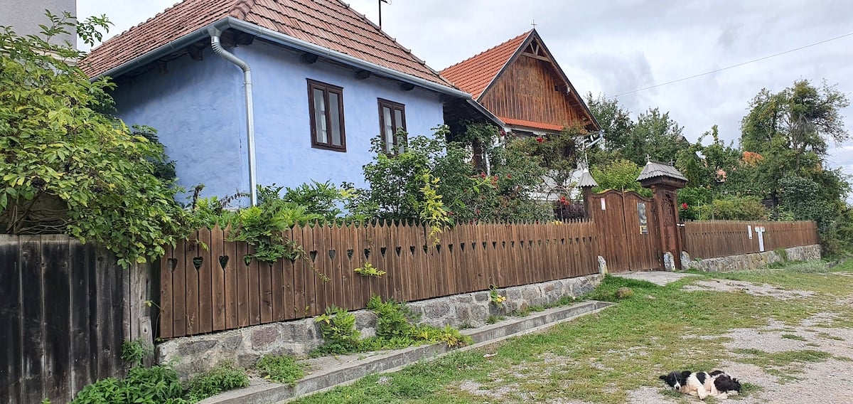 Pe toată Via Transilvanica, ziua 8. Pe autostrada urșilor am ajuns în satul-muzeu