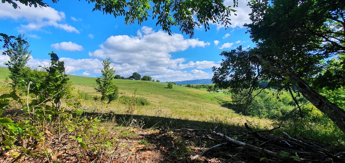 Pe toată Via Transilvanica, ziua 7. Atunci când oamenii și locurile te umplu de cadouri