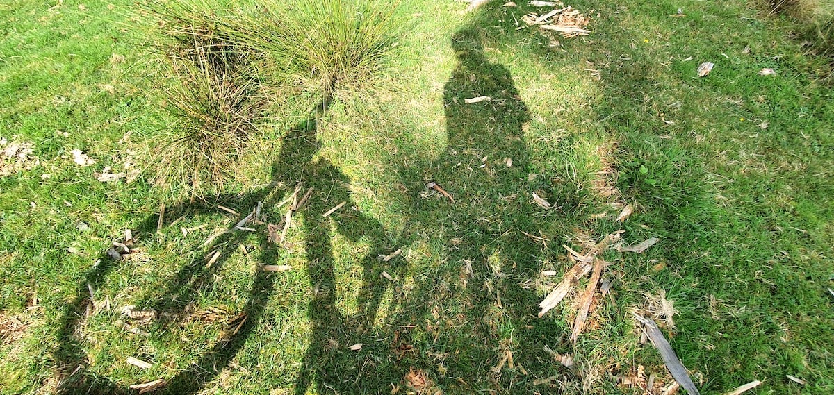 Pe toată Via Transilvanica. Ziua 2: spectaculos pare puțin spus