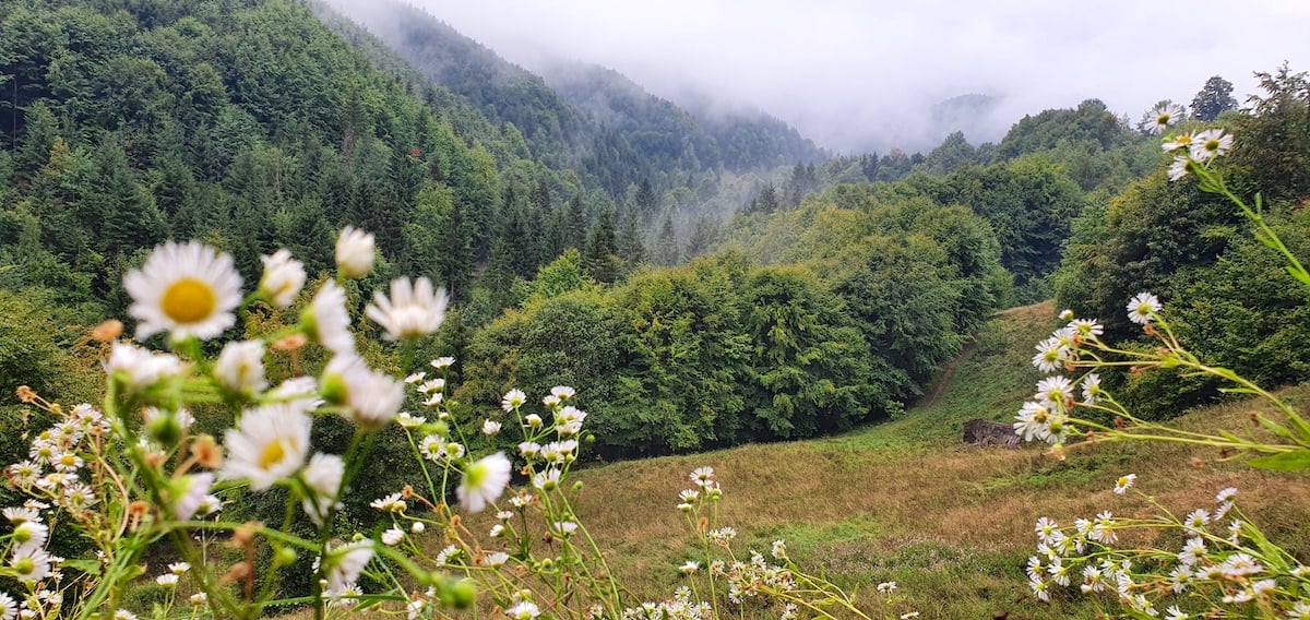 Pe toată Via Transilvanica, ziua 4. De la Tibi Ușeriu și până când norii ne-au devenit prieteni