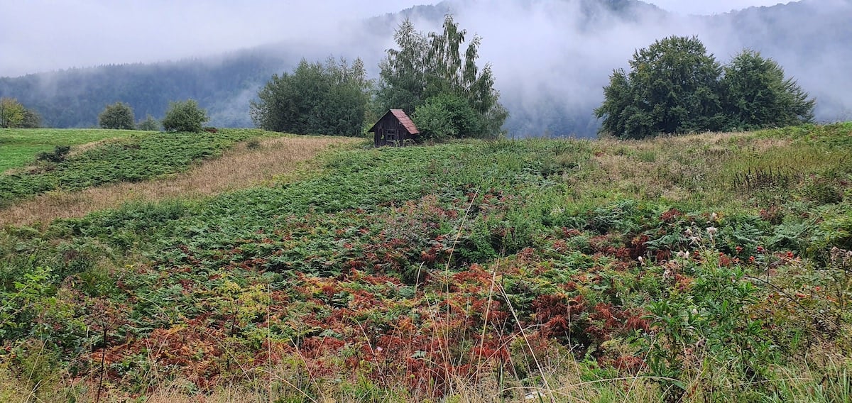 Pe toată Via Transilvanica, ziua 4. De la Tibi Ușeriu și până când norii ne-au devenit prieteni