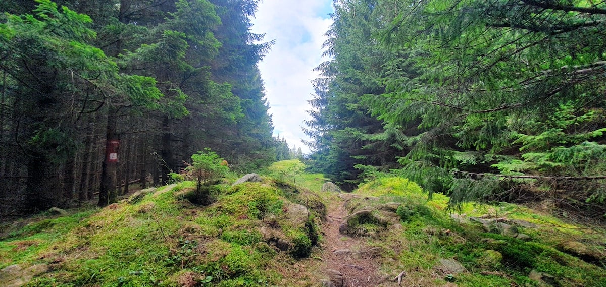 Pe toată Via Transilvanica. Ziua 2: spectaculos pare puțin spus