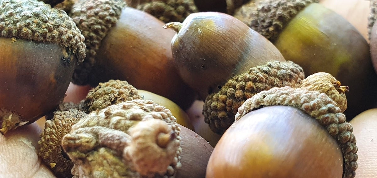 Pe toată Via Transilvanica, ziua 7. Atunci când oamenii și locurile te umplu de cadouri