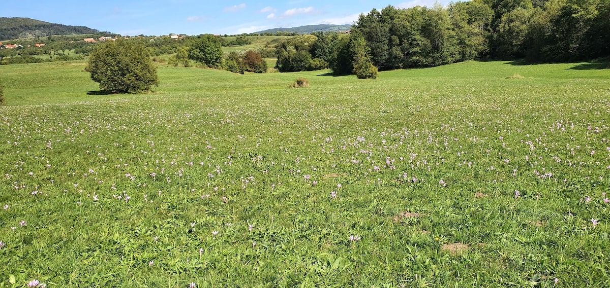 Pe toată Via Transilvanica, ziua 9. ”Acesta este tot secretul: să ne cunoaștem”