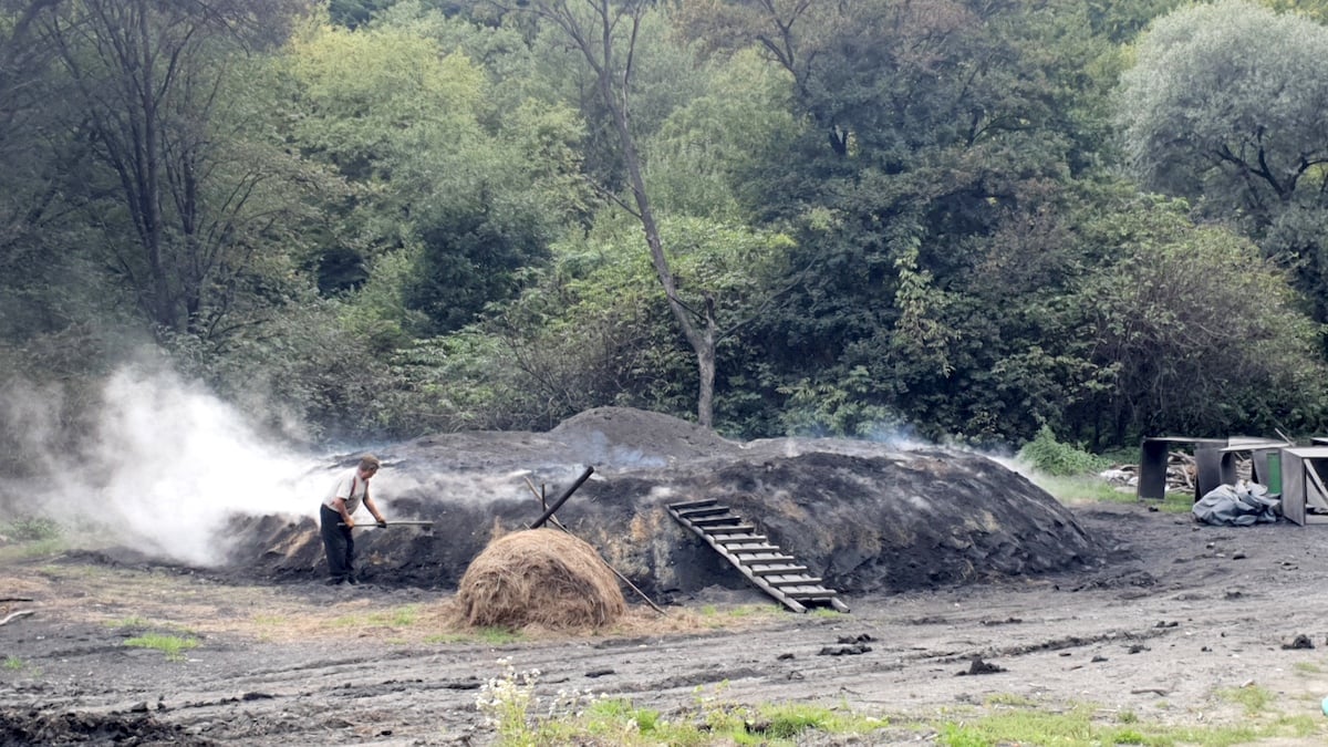 Pe toată Via Transilvanica, ziua 8. Pe autostrada urșilor am ajuns în satul-muzeu