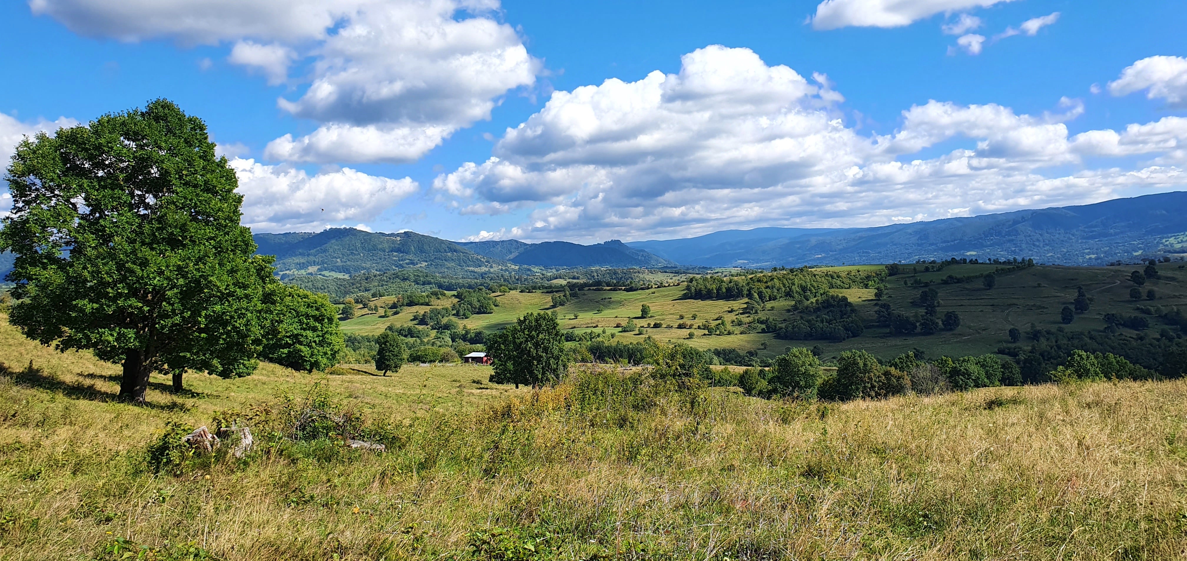 Pe toată Via Transilvanica, ziua 7. Atunci când oamenii și locurile te umplu de cadouri